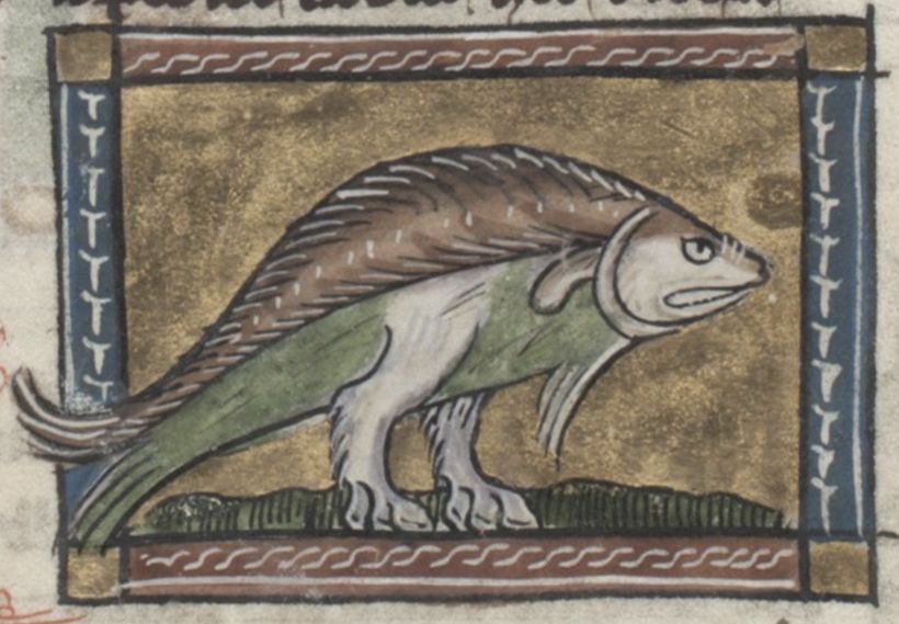 Medieval illustration of a fish with legs standing on the ground.