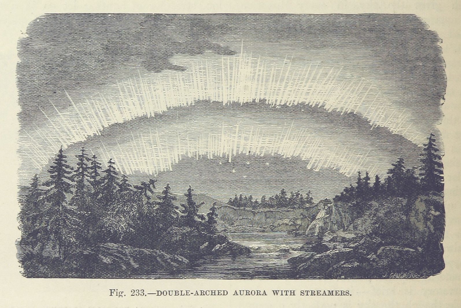 A vintage woodcut illustration of a double-arched aurora borealis over a forest and stream.