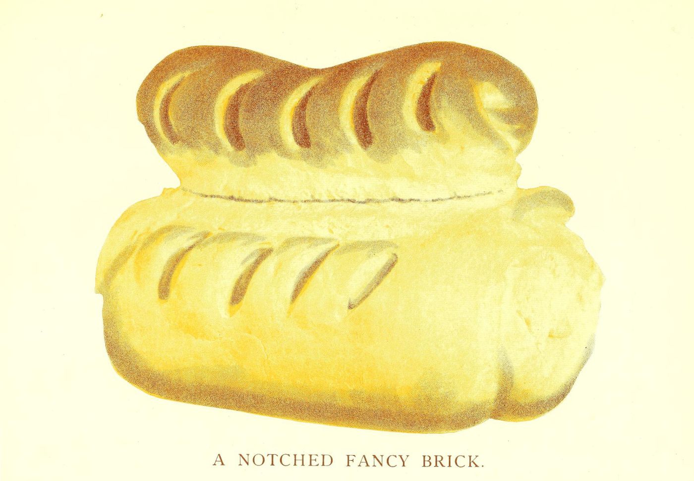 A vintage illustration of a 'notched fancy brick' with curved indentations, set against a pale yellow background.