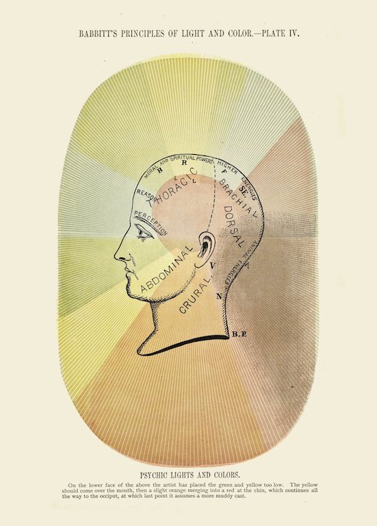 A vintage diagram titled "BABBITT'S PRINCIPLES OF LIGHT AND COLOR - PLATE IV". It features a profile view of a human head, overlaid with a complex network of radiating lines and labeled anatomical regions.