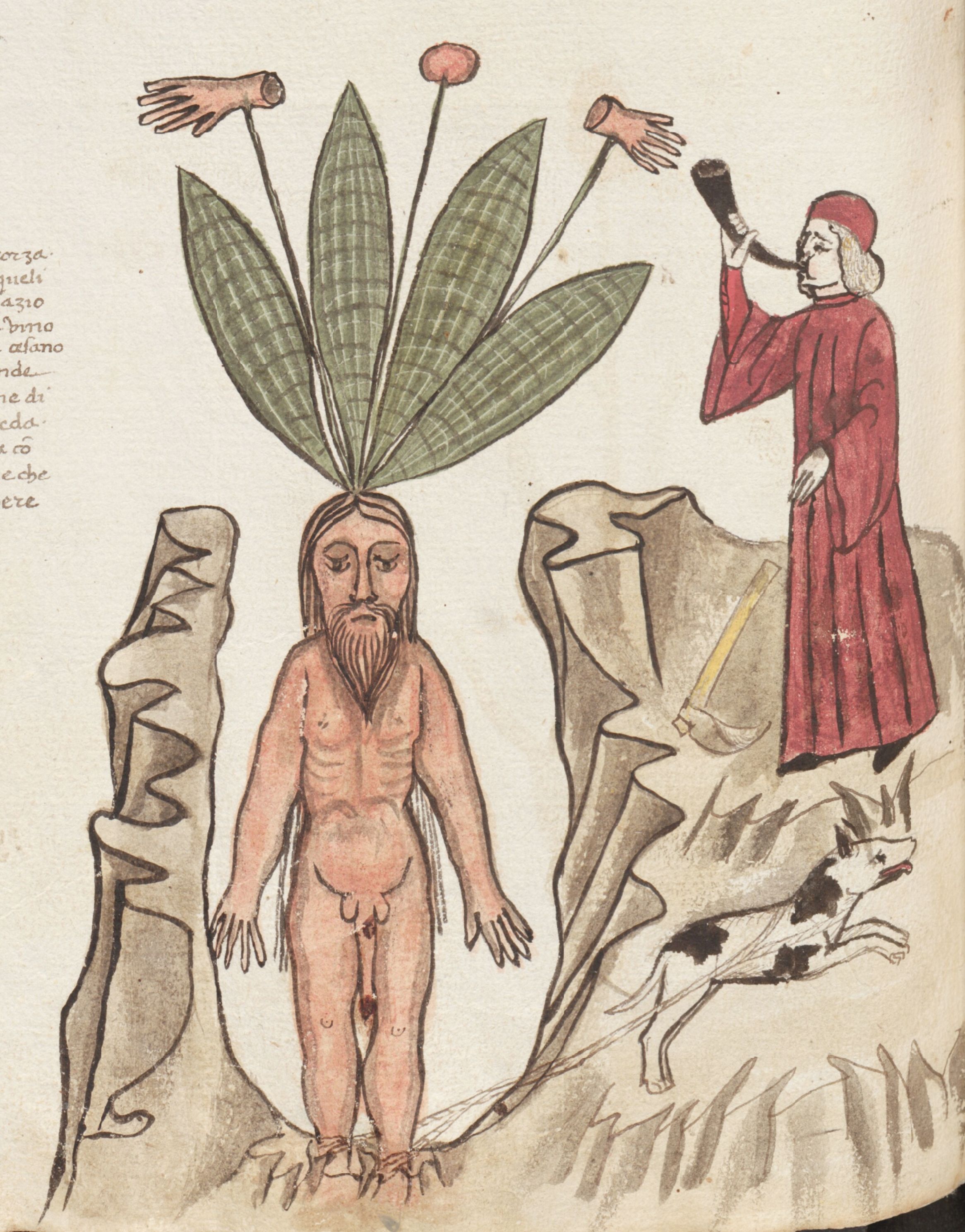Medieval illustration of a nude man with a plant growing from his head, a figure in red blowing a horn, a dog, and rock formations.