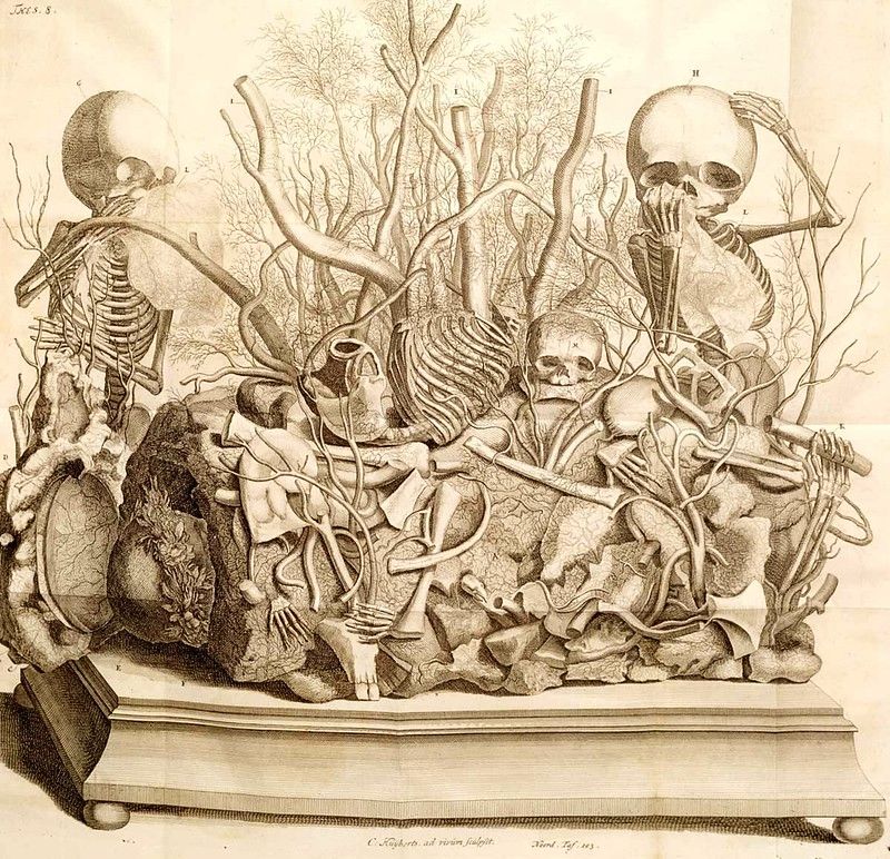 Detailed engraving of a pile of skeletal remains on a table, flanked by two skeletons, with branching structures rising from the center.