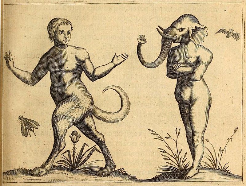Vintage engraving of two fantastical creatures: a human-horse hybrid and an elephant-human hybrid, standing amidst plants with a snake and bat.