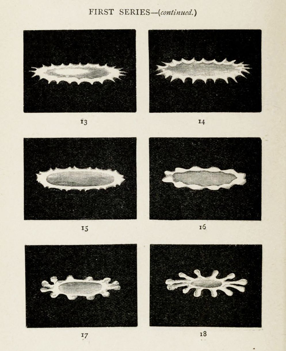 A series of six diagrams, labeled 13 through 18, depicting a changing shape. Each diagram shows an oval or elongated shape with varying degrees of spikes or protrusions along its edges.