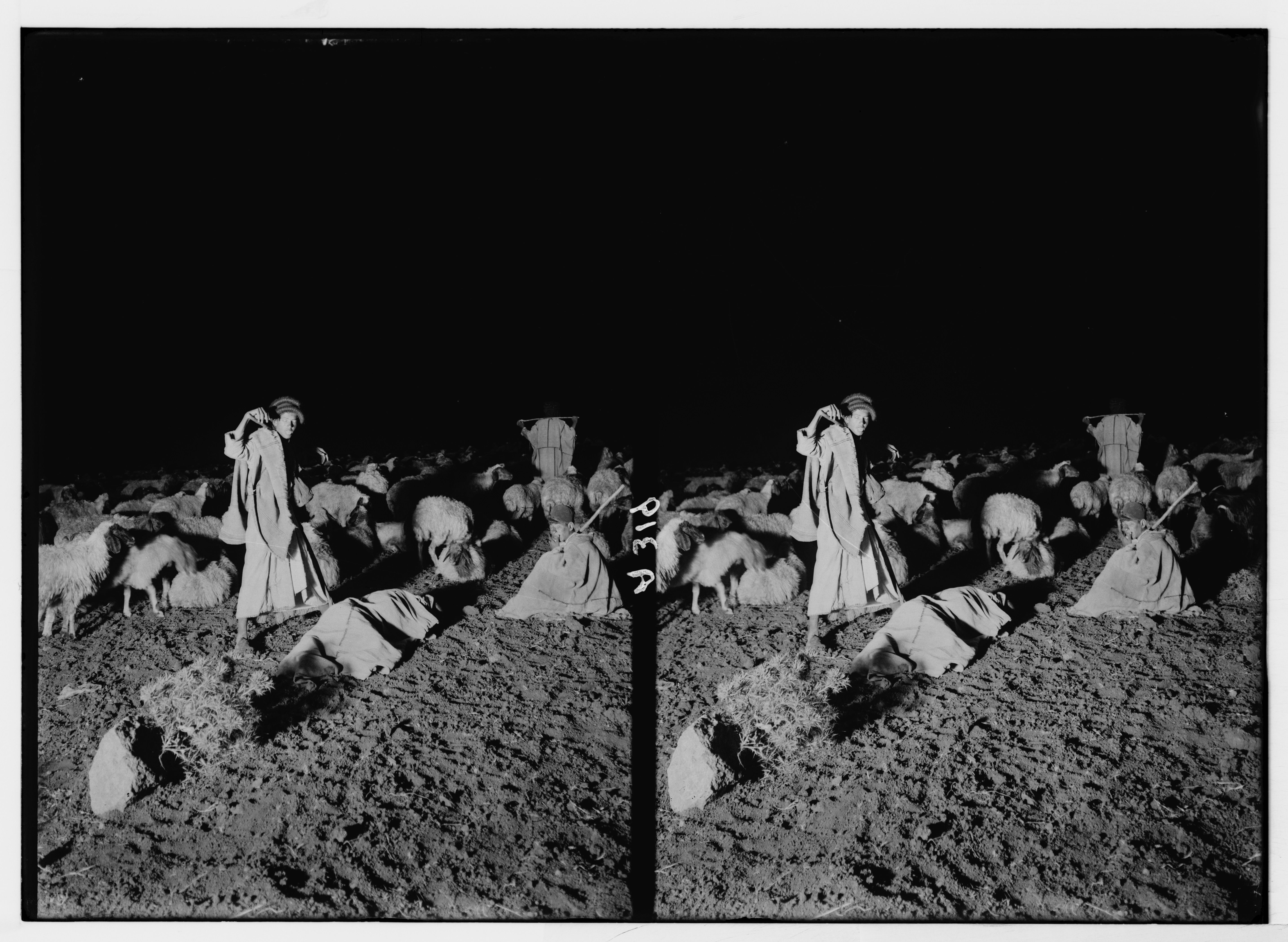 A black and white double exposure photograph of a group of people and goats in a field.