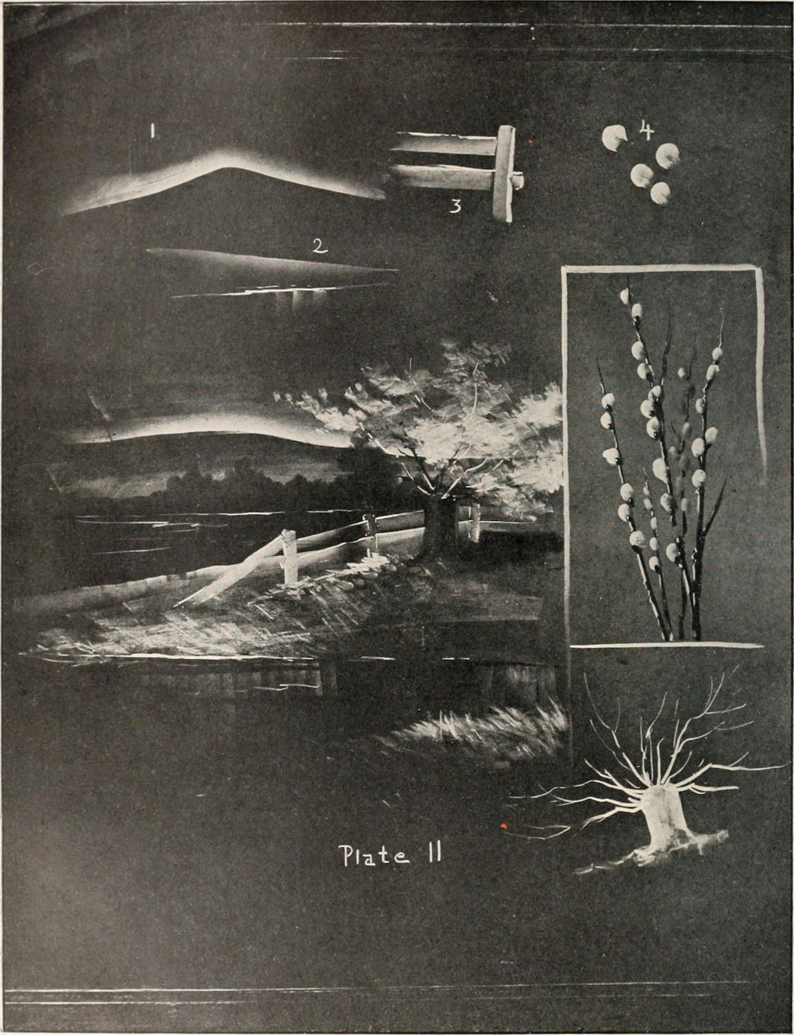 A black and white illustration labeled 'Plate II' featuring a landscape with a fence, a tree, and various botanical sketches.