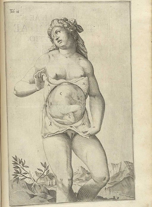 Vintage anatomical illustration of a pregnant woman with labels indicating anatomical features.