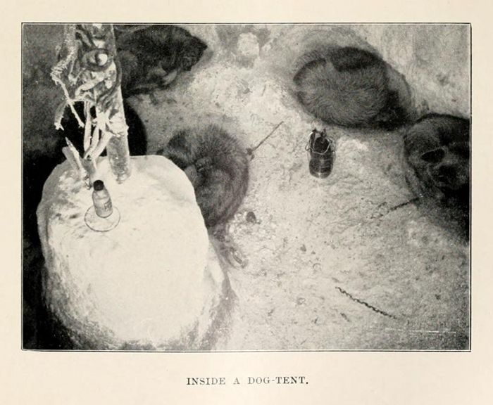 A vintage black and white photograph titled 'Inside a Dog-Tent' shows the head of a dog inside a small tent, with a bottle attached to its collar.