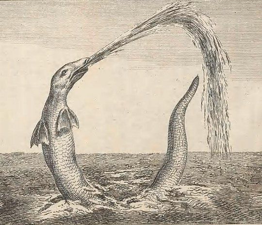 Vintage engraving of a sea serpent spouting water from its mouth.