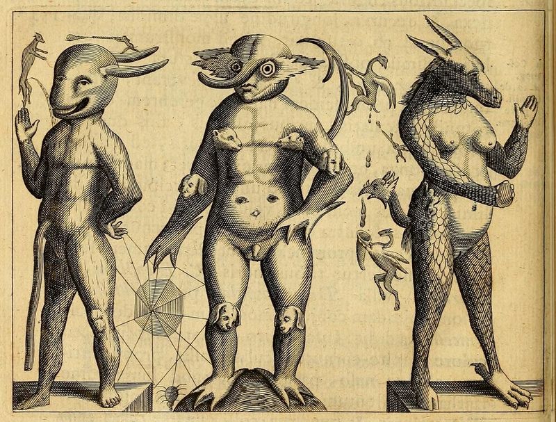 A vintage black and white engraving depicting three bizarre, humanoid creatures standing on platforms.