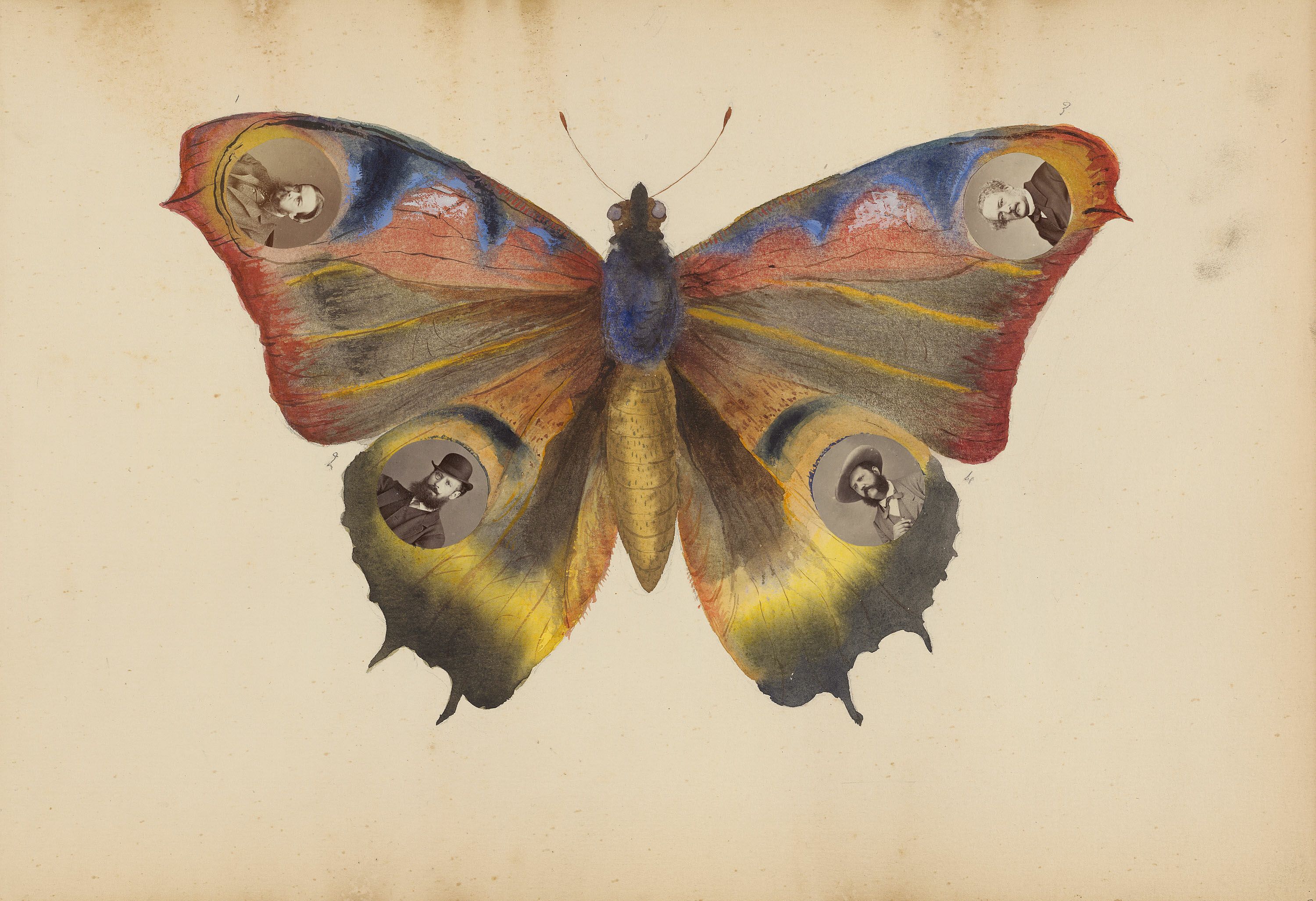 A vintage-style illustration of a butterfly with portraits embedded within its wings.
