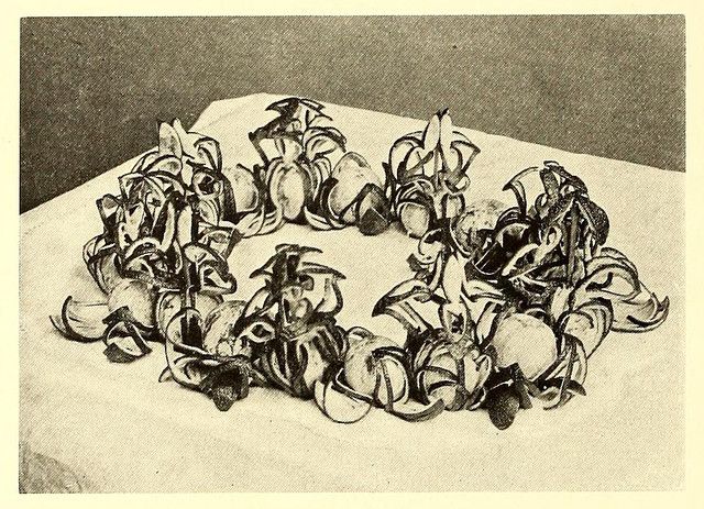 A black and white photograph of a circular wreath or necklace made entirely of small, intricately arranged shells.