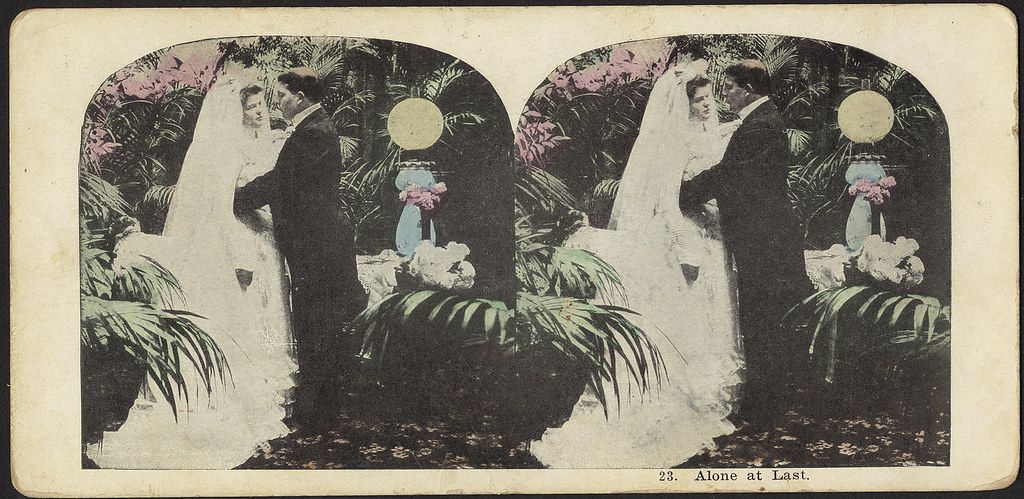 Stereoscope card titled "23. Alone at Last." depicting a woman in a white dress standing near a waterfall with flowers.