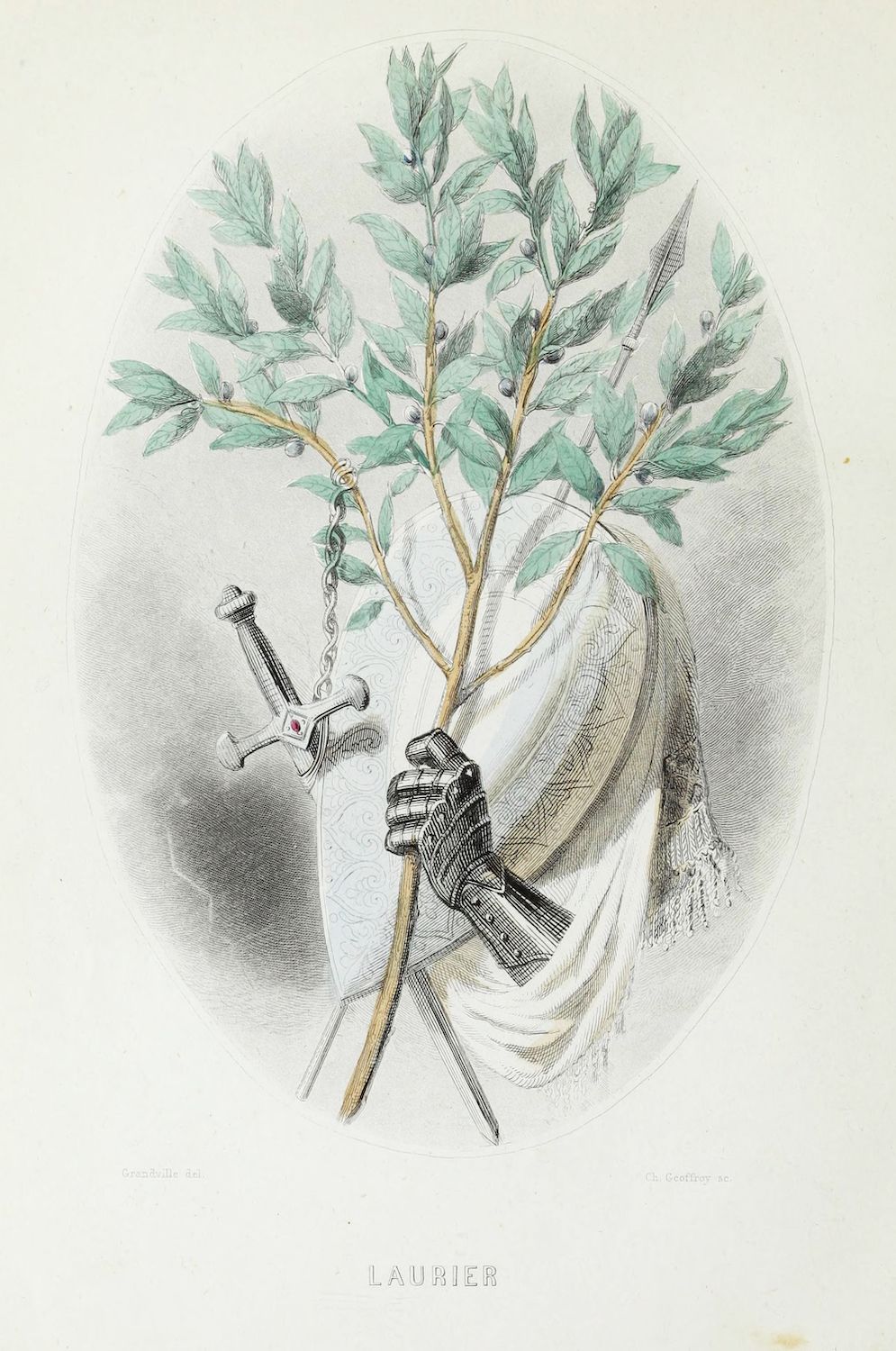 Vintage botanical illustration of a laurel branch held by a skeletal hand, with a sword, dagger, ribbon, and chain.