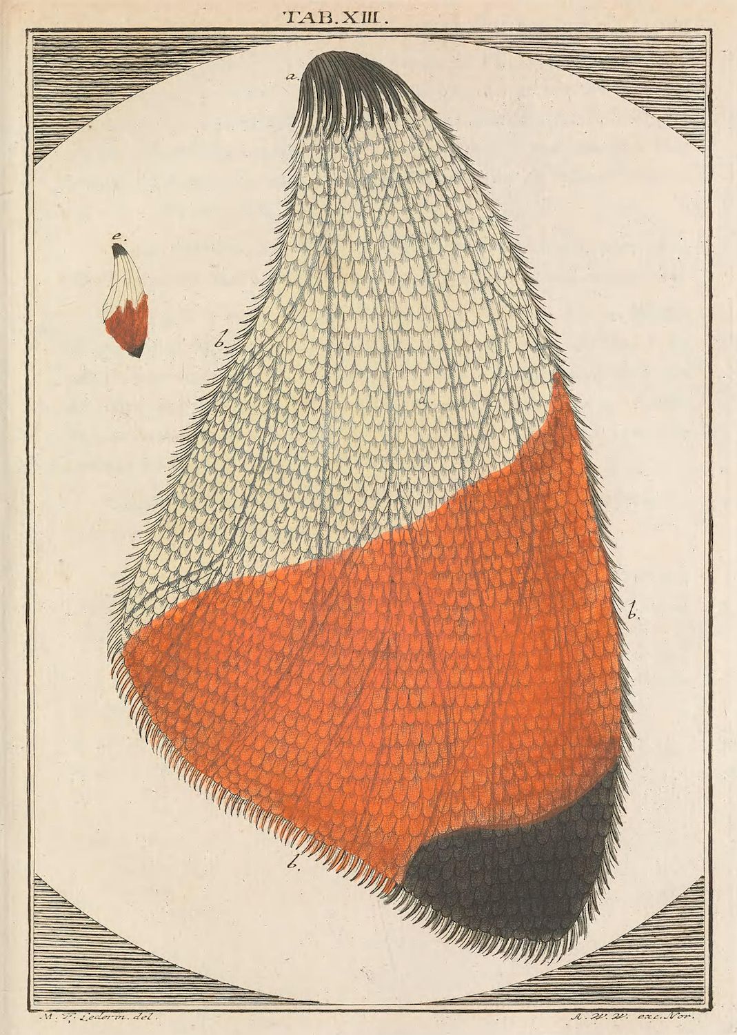 Vintage illustration of a feather with a white upper portion and orange-red lower portion, labeled with letters and featuring the names of the artist and inventor.
