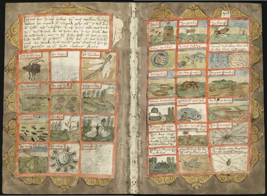 An open book with two pages filled with a grid of small, hand-drawn illustrations of animals, landscapes, and plants. The pages are aged and have a yellowed appearance. The illustrations are bordered by a thin red line, creating a grid-like pattern. The book is framed by an ornate, decorative border.