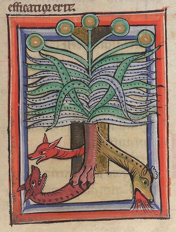 Medieval manuscript illumination of a fox and dragon around a tree.