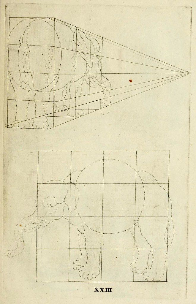 A page from an old book with a grid and sketches of a lion.