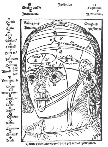 A detailed anatomical illustration of a human head, showing the brain, eye, nose, and mouth, with numerous labels in Latin.