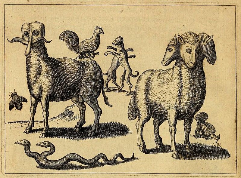 Vintage engraving of a sheep, elephant with a rooster on its back, a monkey, a snake, and a bee.