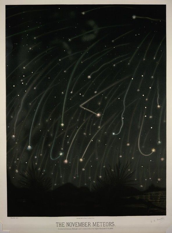 A vintage lithograph titled "The November Meteors" depicting a night sky filled with numerous streaks of light representing meteors, with a silhouetted landscape of trees or tall grass below.