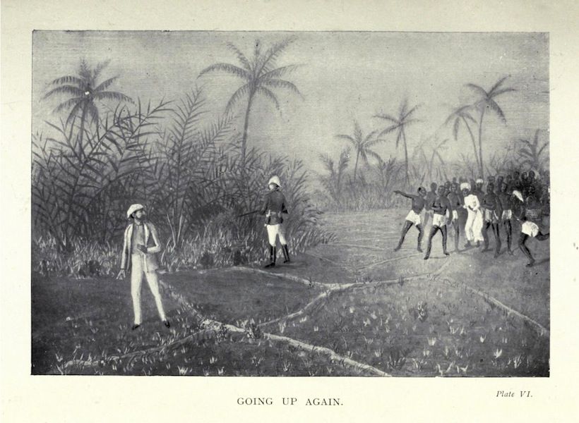 Black and white illustration of a group of people celebrating in a tropical setting.