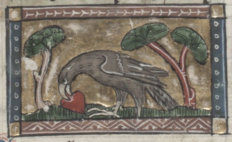 Medieval illustration of a bird feeding on a heart, framed by a decorative border.