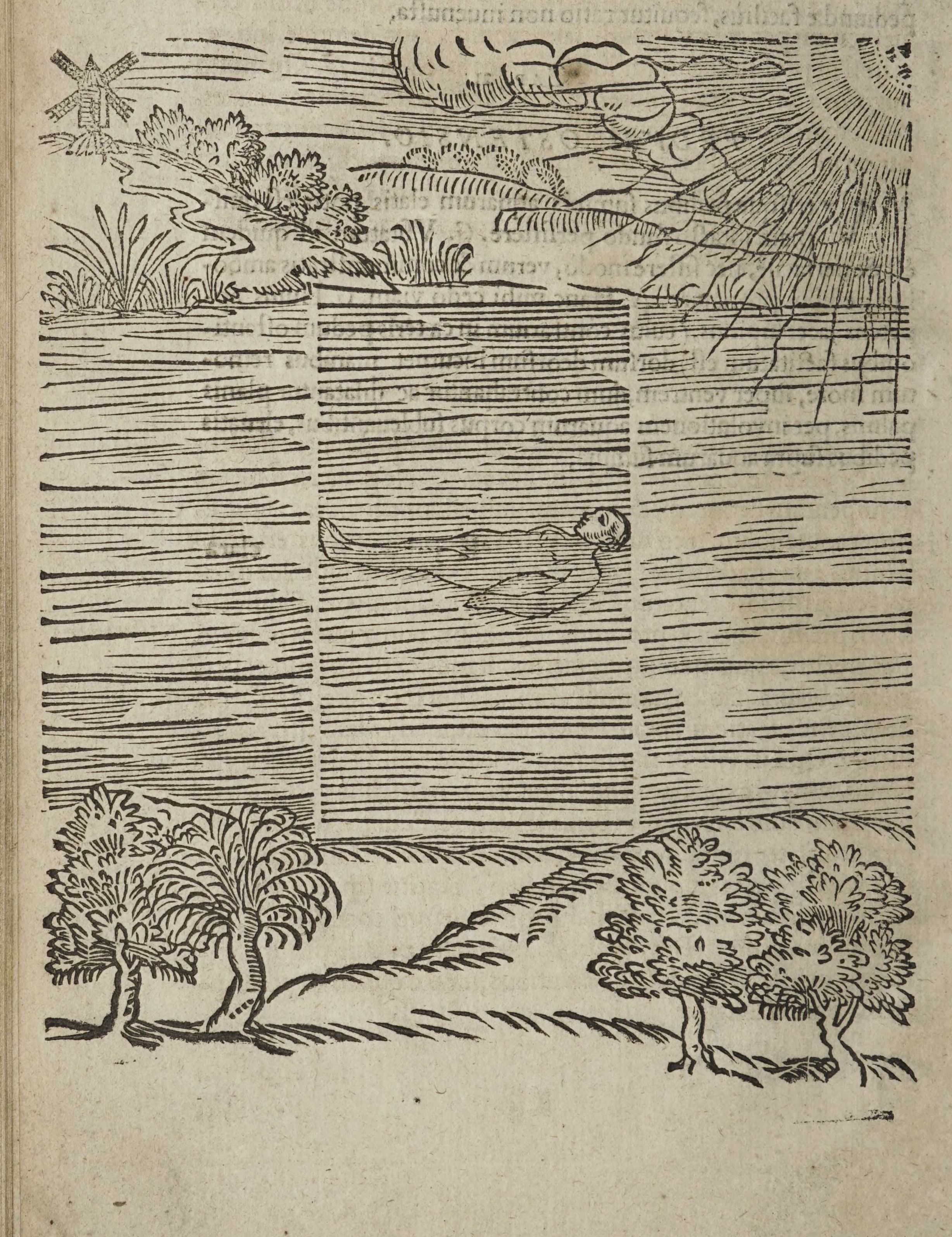 Vintage woodcut illustration of a person near a stone wall with a windmill in the background.