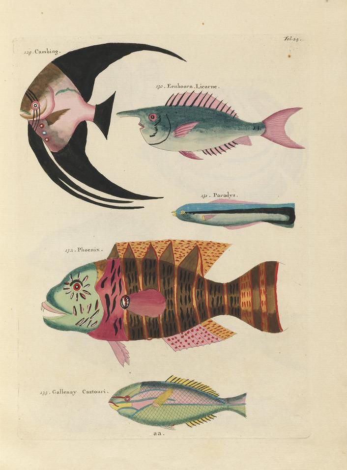 A vintage illustration of several fantastical fish, labeled with numbers and names.