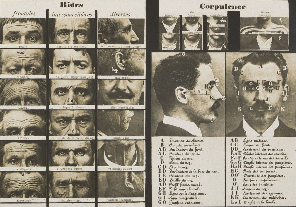Vintage scientific illustration of facial wrinkles and body types, with detailed portraits and French labels.
