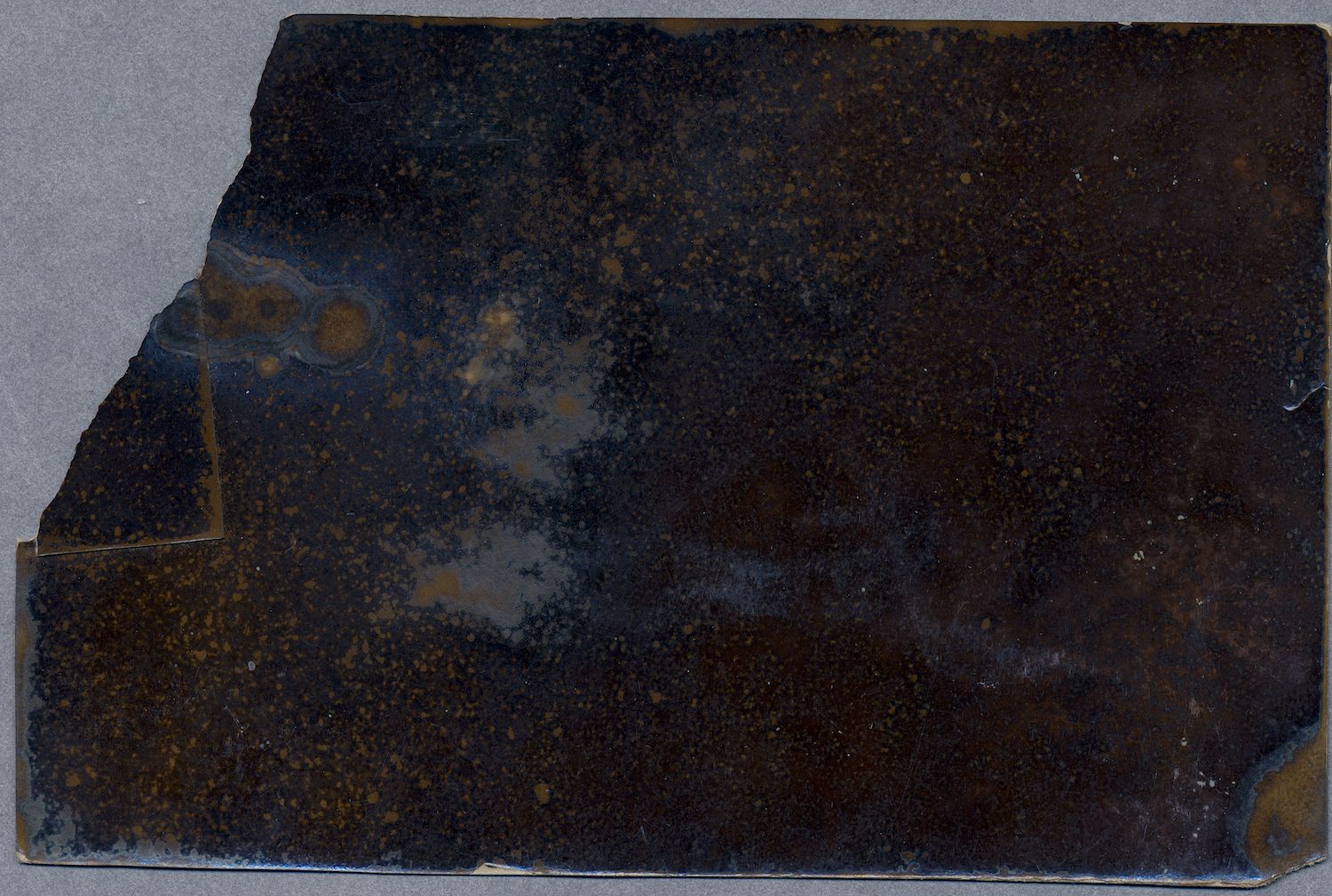 Close-up of a dark, textured surface with mottled brown and golden hues.