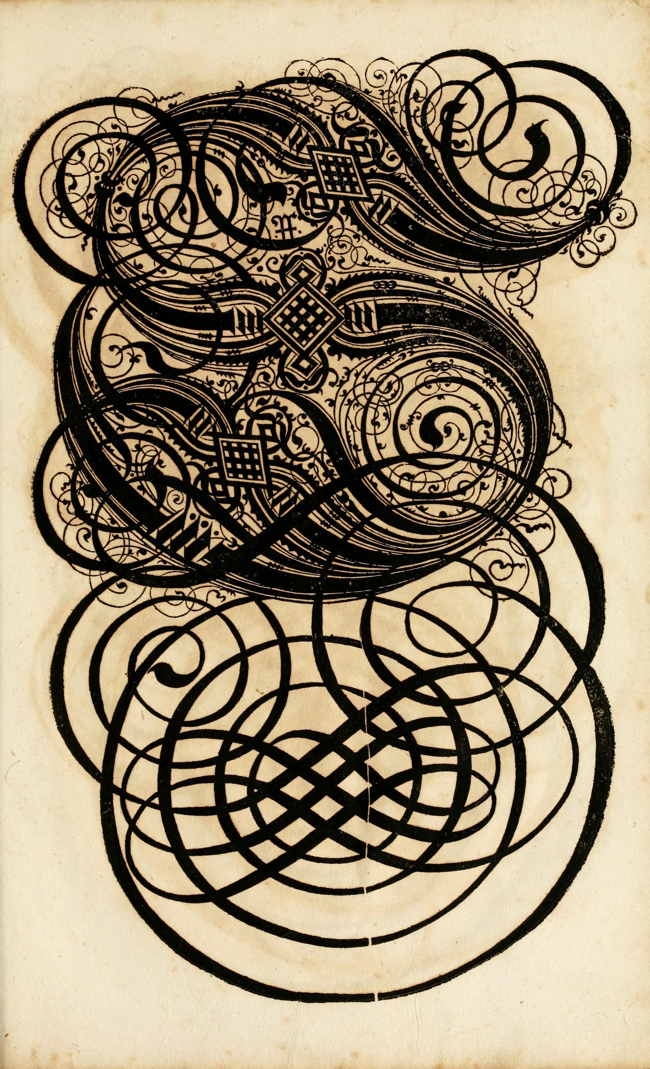 A detailed black and white drawing with an ornate, swirling design reminiscent of Celtic knotwork or Victorian embellishments.