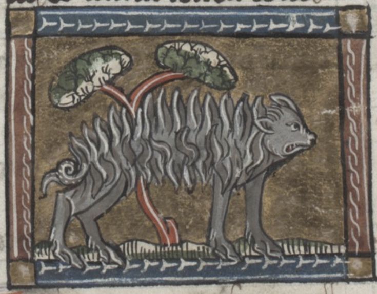 Medieval manuscript illustration of a boar with mushrooms growing out of its back.